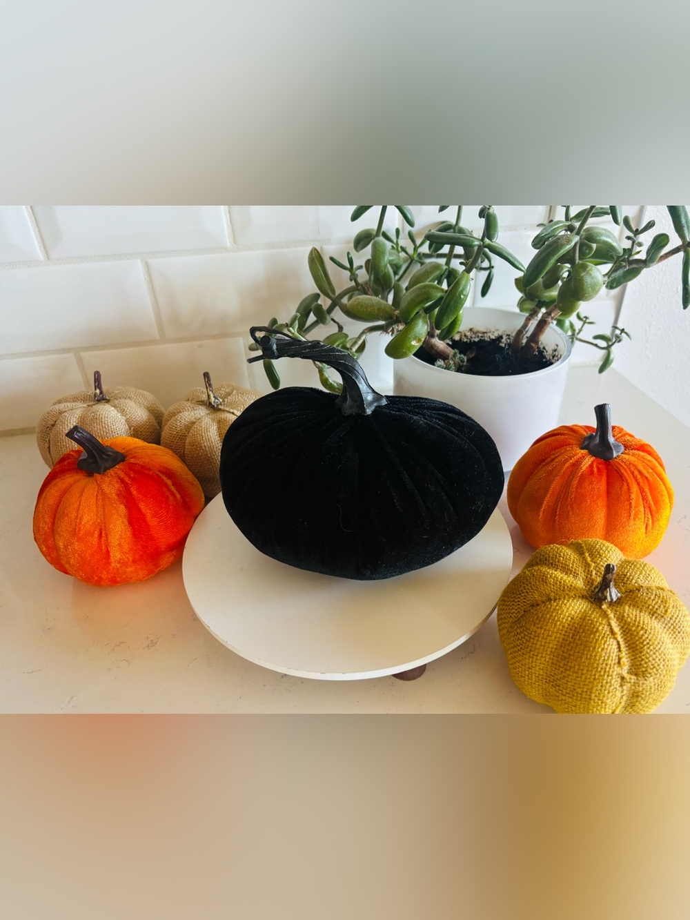 Set of Decorative Pumpkins 🎃